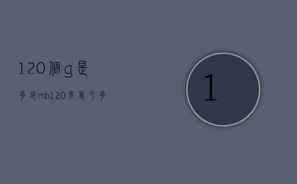 120个g是多少mb（120克等于多少g）
