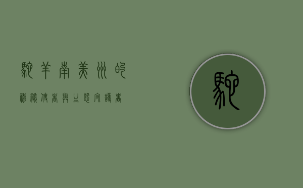 驼羊，南美洲的神秘使者与生态守护者