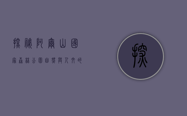 探秘阿尔山国家森林公园，自然与人文的交响曲