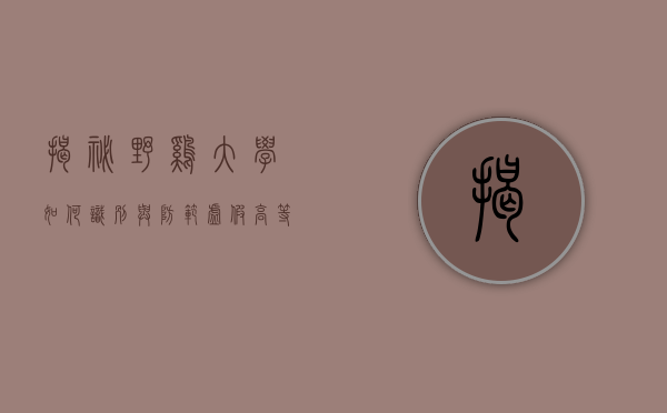 揭秘野鸡大学，如何识别与防范虚假高等教育机构
