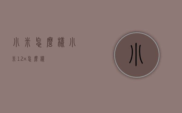 小米怎么样（小米12x怎么样）