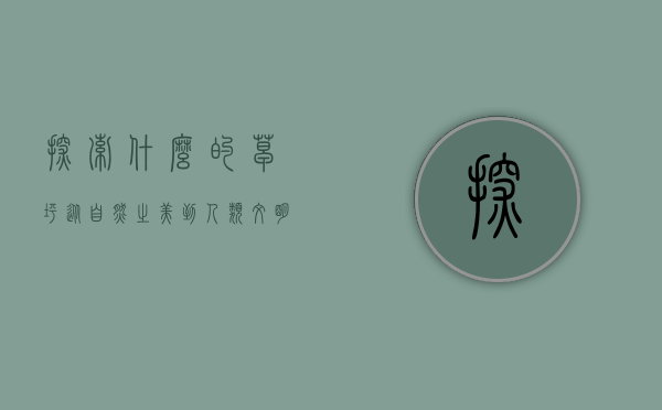 探索什么的草坪，从自然之美到人类文明的交织