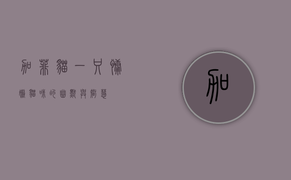 加菲猫,一只慵懒猫咪的幽默与智慧 加菲猫,一只慵懒猫咪的幽默与智慧