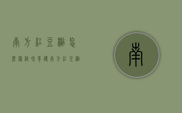 南方红豆杉怎么种植和养护（南方红豆杉的养殖方法和注意事项）
