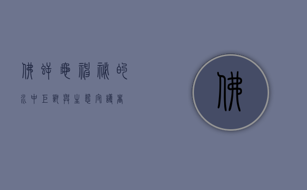 佛鳄龟，神秘的水中巨兽与生态守护者