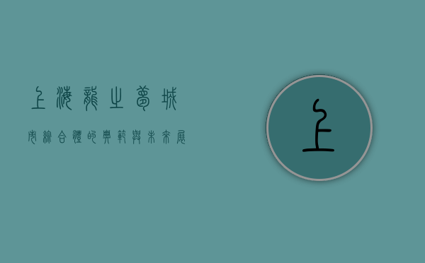 上海龙之梦，城市综合体的典范与未来展望