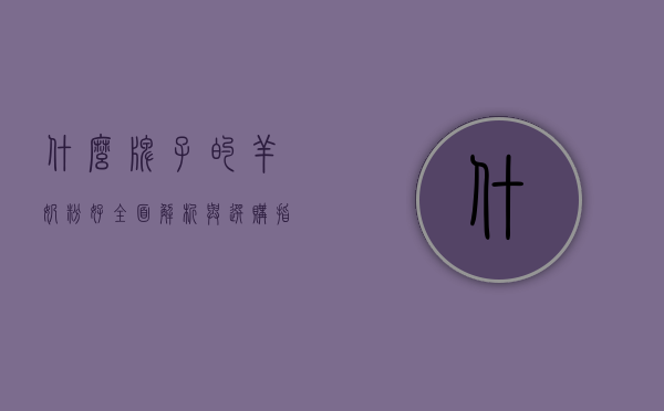 什么牌子的羊奶粉好？全面解析与选购指南