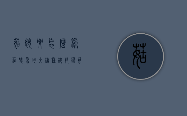 菇娘要怎么种？菇娘果的大棚种植技术（菇娘怎么种出来的视频）