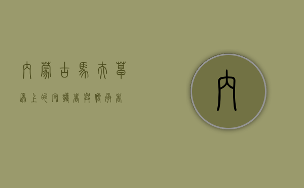 内蒙古马夫，草原上的守护者与传承者