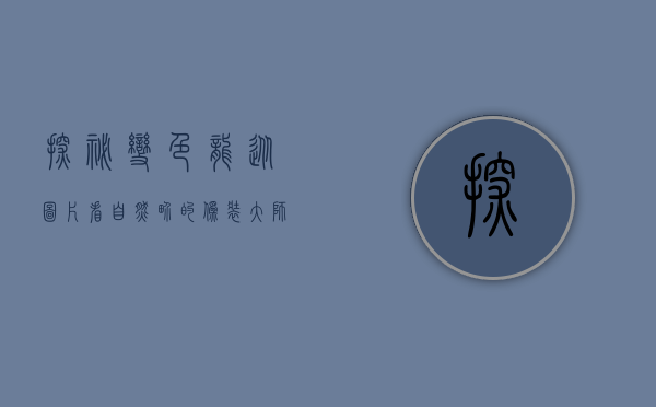 探秘变色龙，从图片看自然界的伪装大师