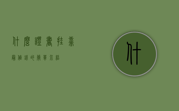 什么证书挂靠最值钱的简单介绍