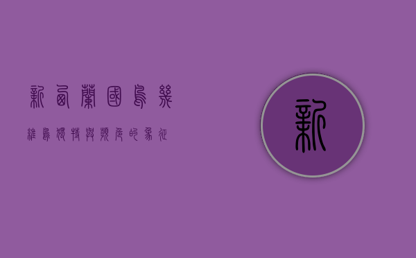 新西兰国鸟—几维鸟，独特与濒危的象征