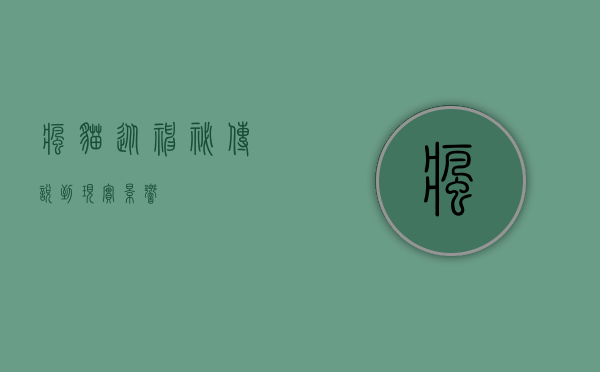 疯猫，从神秘传说到现实影响