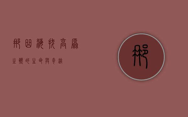 那曲海拔，高原之巅的生命与奇迹
