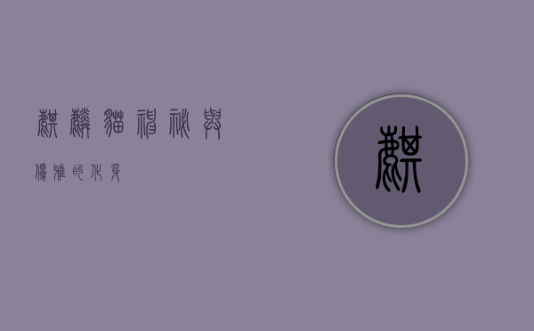 麒麟猫，神秘与优雅的化身