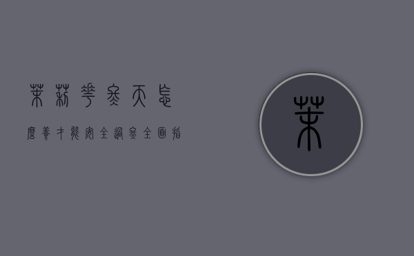 茉莉花冬天怎么养才能安全过冬，全面指南与实用技巧