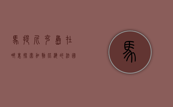 马提尼克岛在哪里，探索加勒比海的法国瑰宝