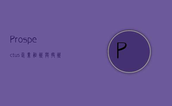 Prospectus，企业融资与投资者决策的关键指南
