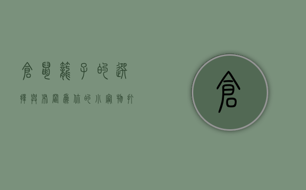仓鼠笼子的选择与布置，为你的小宠物打造舒适家园