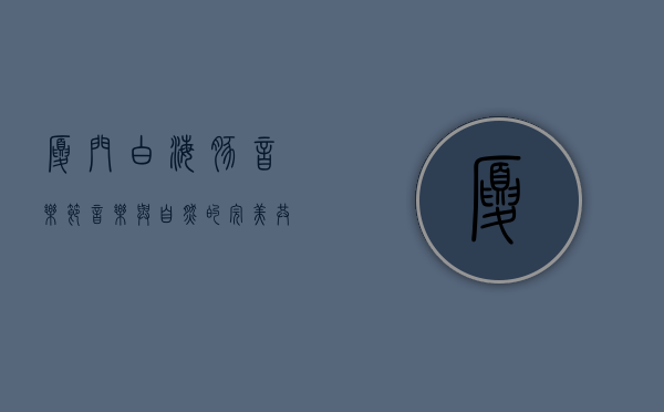 厦门白海豚音乐节，音乐与自然的完美共鸣