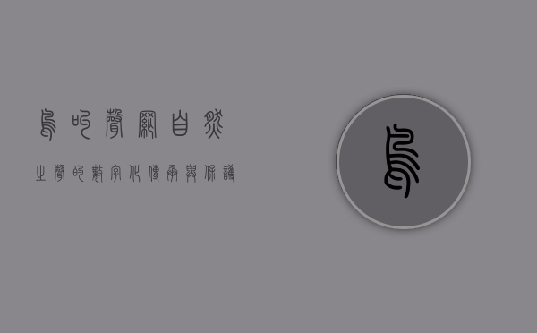 鸟叫声网，自然之声的数字化传承与保护