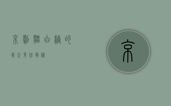 京剧猫白糖的真正身份揭秘