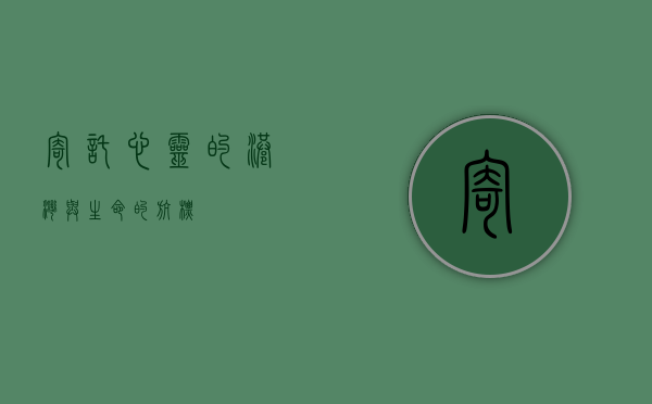 寄托，心灵的港湾与生命的航标