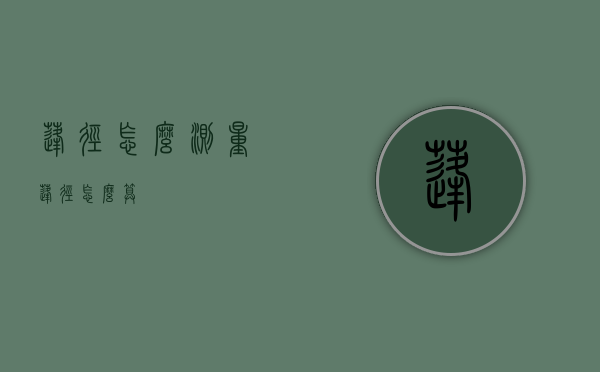 蓬径怎么测量（蓬径怎么算）