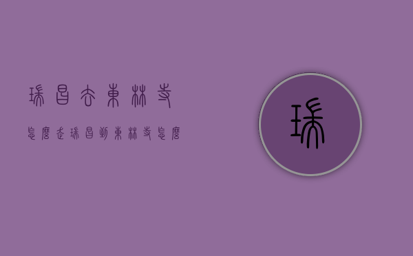 瑞昌去东林寺怎么走（瑞昌到东林寺怎么坐车）