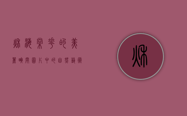 秋海棠花的美丽瞬间，图片中的自然艺术