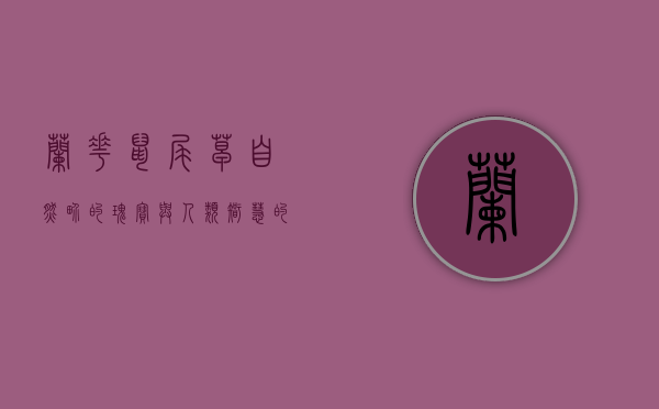 兰花鼠尾草，自然界的瑰宝与人类智慧的结晶