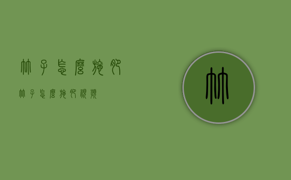 竹子怎么施肥（竹子怎么施肥视频）