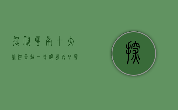 探秘云南十大旅游景点，一场视觉与心灵的双重盛宴