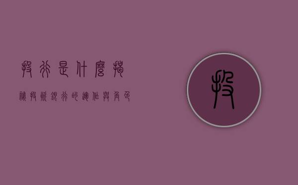 投行是什么？揭秘投资银行的运作与角色