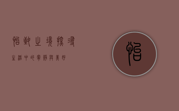 怡致之境，探寻生活中的宁静与美好