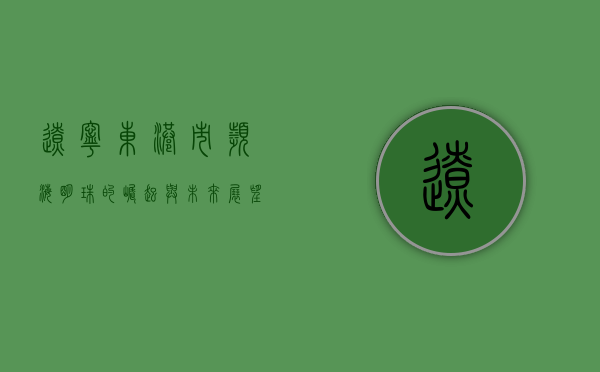 辽宁东港市，滨海明珠的崛起与未来展望