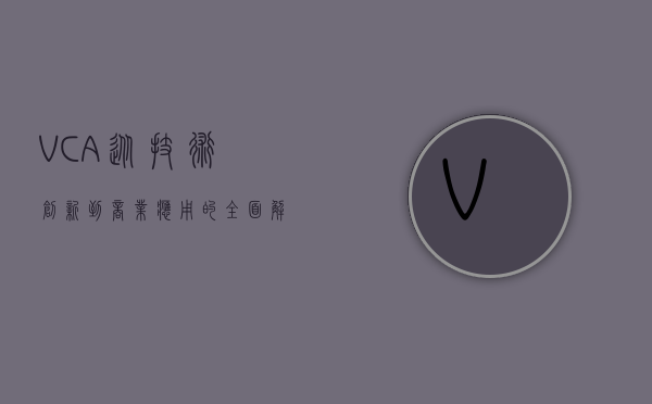 VCA，从技术创新到商业应用的全面解析