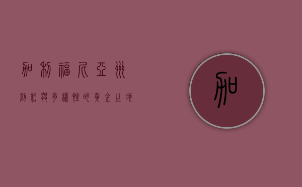 加利福尼亚州，创新与多样性的黄金之地