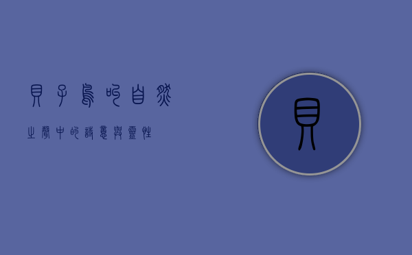 贝子鸟叫，自然之声中的诗意与灵性