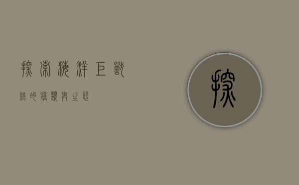 探索海洋巨兽，鲸的种类与生态