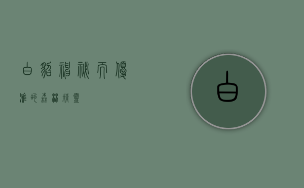 白貂，神秘而优雅的森林精灵