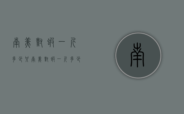 南美对虾一斤多少只（南美对虾一斤多少只合适）