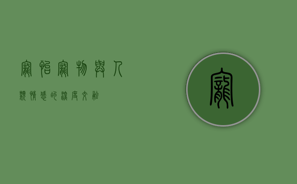 宠怡，宠物与人类情感的深度交融
