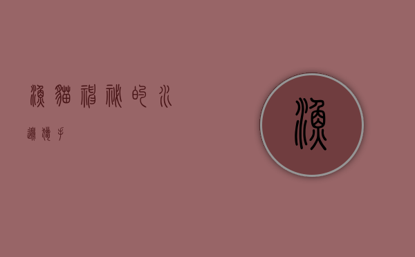 渔猫，神秘的水边猎手