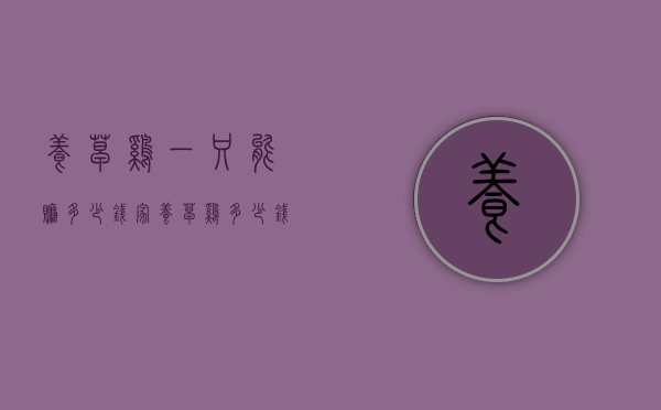 养草鸡一只能赚多少钱（家养草鸡多少钱一斤）