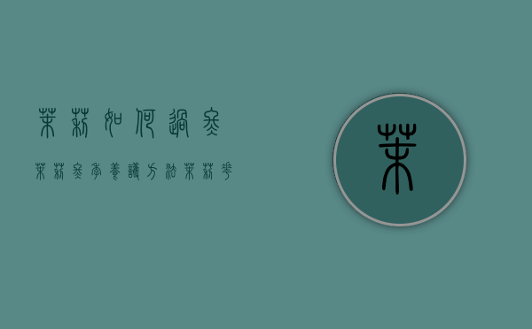 茉莉如何过冬 茉莉冬季养护方法（茉莉花如何过冬季）