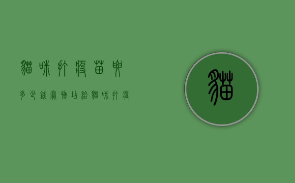 猫咪打疫苗要多少钱（宠物店给猫咪打疫苗要多少钱）