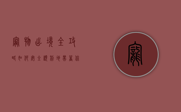 宠物出境全攻略，如何安全、顺利地带着你的毛孩出国？