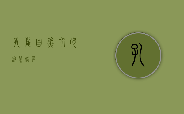 孔雀，自然界的绚丽精灵