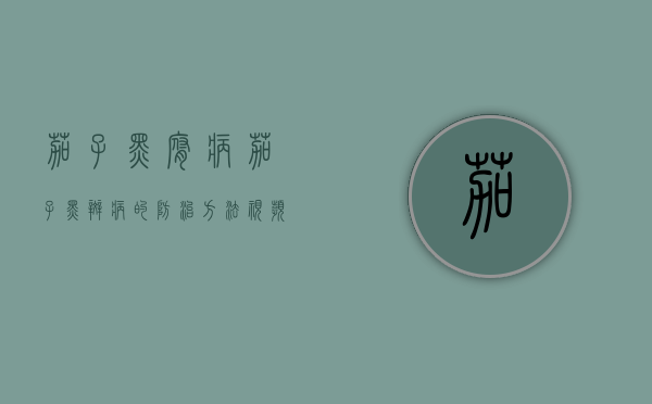 茄子黑腐病（茄子黑斑病的防治方法视频）